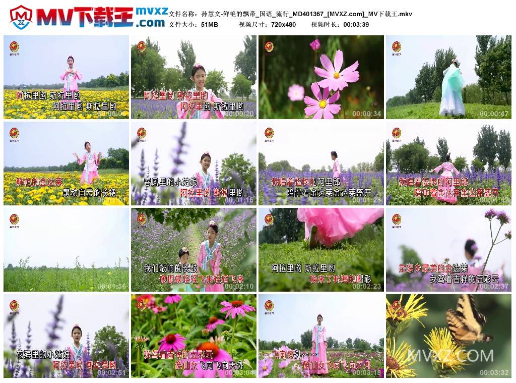 孙慧文-鲜艳的飘带_国语_流行_MD401367